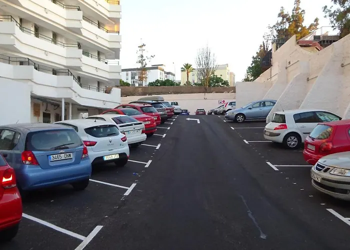 Flamingo Friendly * Playa del Inglés