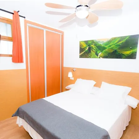 Flamingo Friendly Playa del Ingles (Gran Canaria)