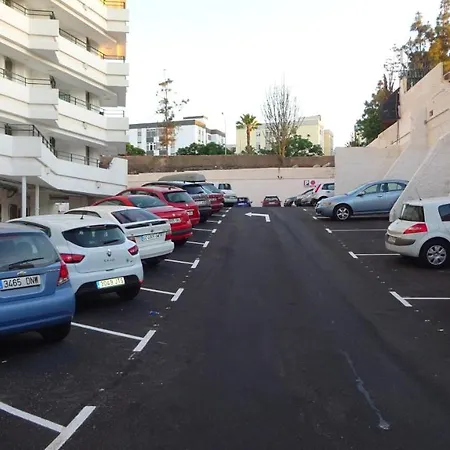 Flamingo Friendly * 普拉亚戴尔雷安格莱斯